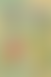 Once Upon a Book Fair NOVEMBER 15th from 12 – 5 p.m. at the North County Fair Mall in Escondido