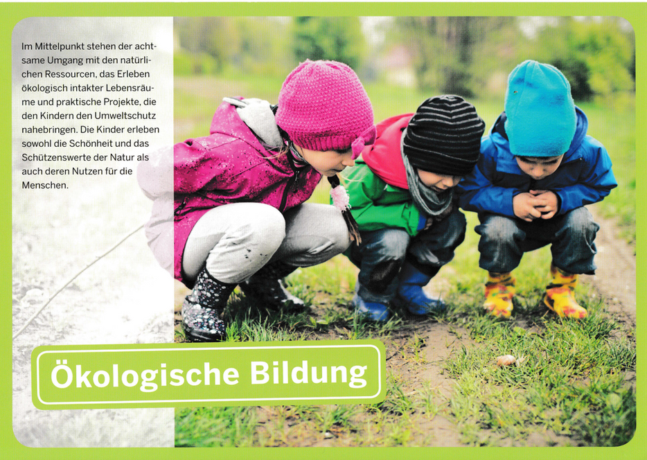 9_Ökologische Bildung.png