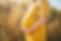 anna-hecker-wqcQ6ODwPxU-unsplash.jpg