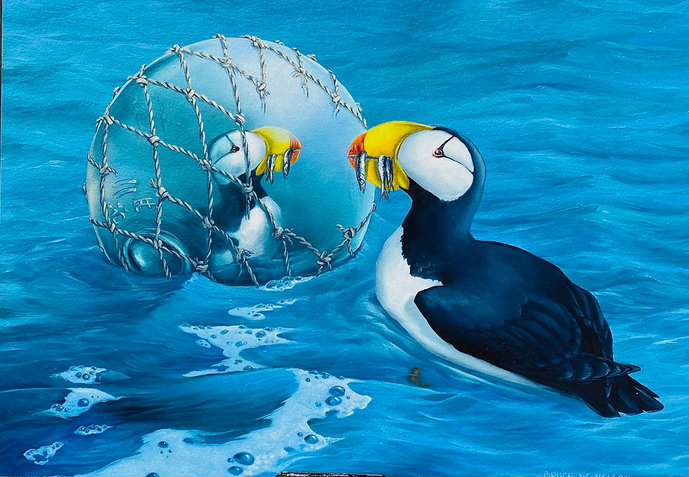 Puffin’s Looking Glass by Bruce Nelson