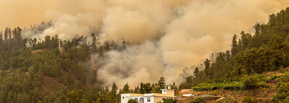 incendios.jpg