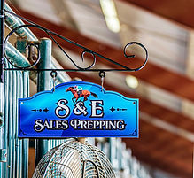 S & E signe5038MH.jpg