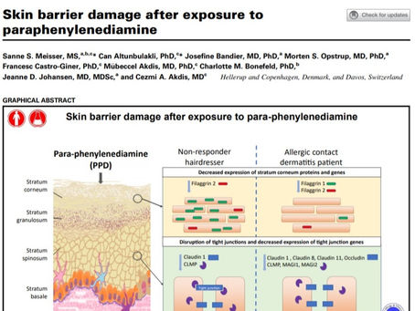 Danni alla barriera cutanea dopo l'esposizione alla parafenilendiammina