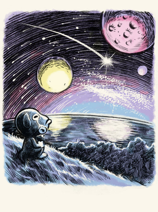P10.jpg