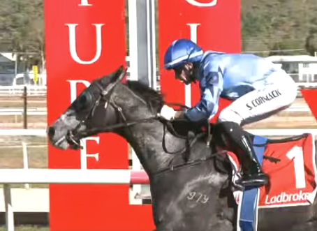 Gee Eye Why scores at Townsville