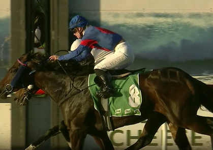 Vinari gets the win at the Sapphire Coast