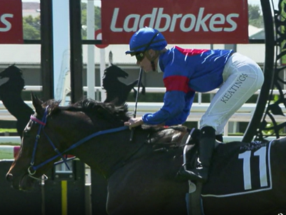 2 on the Trot for All Adore