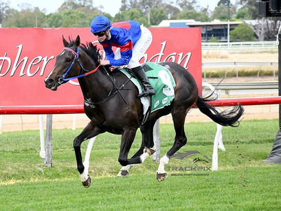 Hip Hip Ole gives owners a reason to cheer early