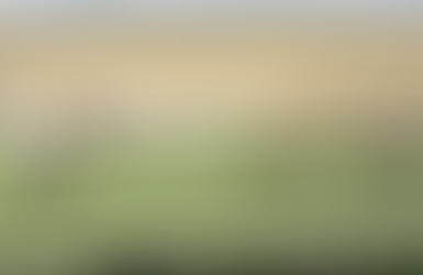 Marine Girl blows them away