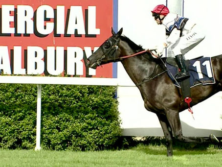 BIANCO VILANO WINS THE QUALIFIER