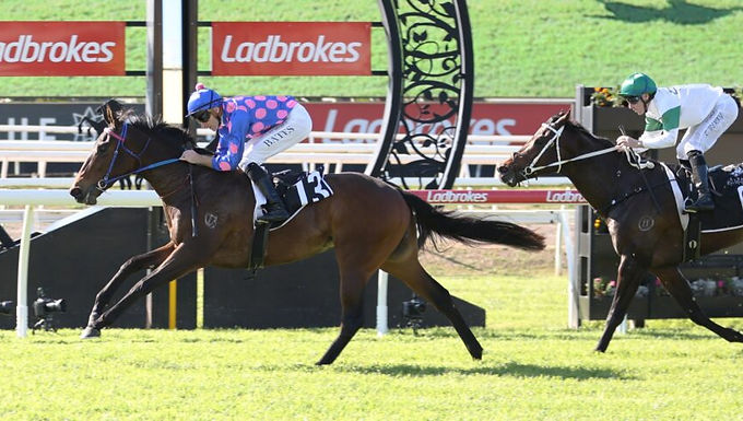 Voynichese earns Group 1 start with tough win
