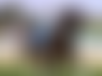 Rumours let loose at Wangaratta