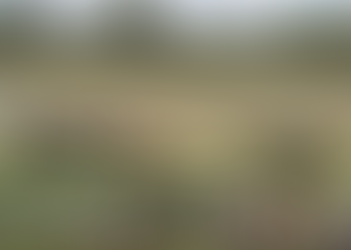 Super Maiden win for Alabama Hussy