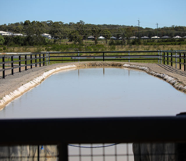Kimall Park 10.jpg