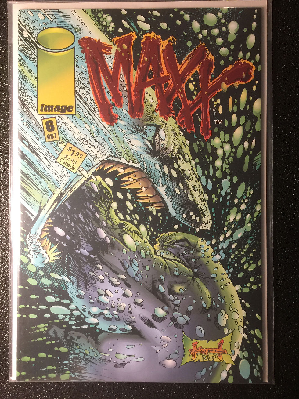 Thumbnail: The Maxx (1993-95), Lot: 20 first issues