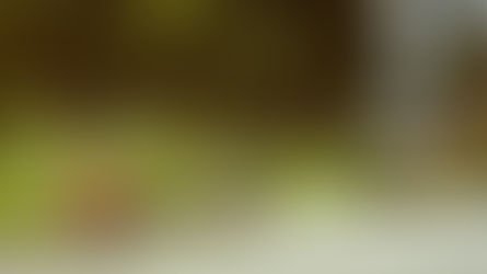 תביעה גלובל נט קרן מונטרו