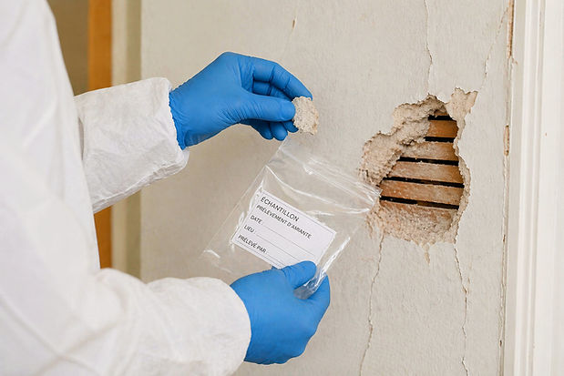 Prelevement d'amainate sur un mur en platre