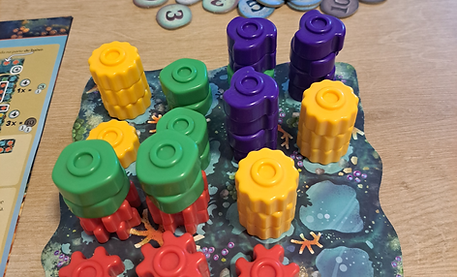 Imagem dos componentes do jogo de tabuleiro Reef