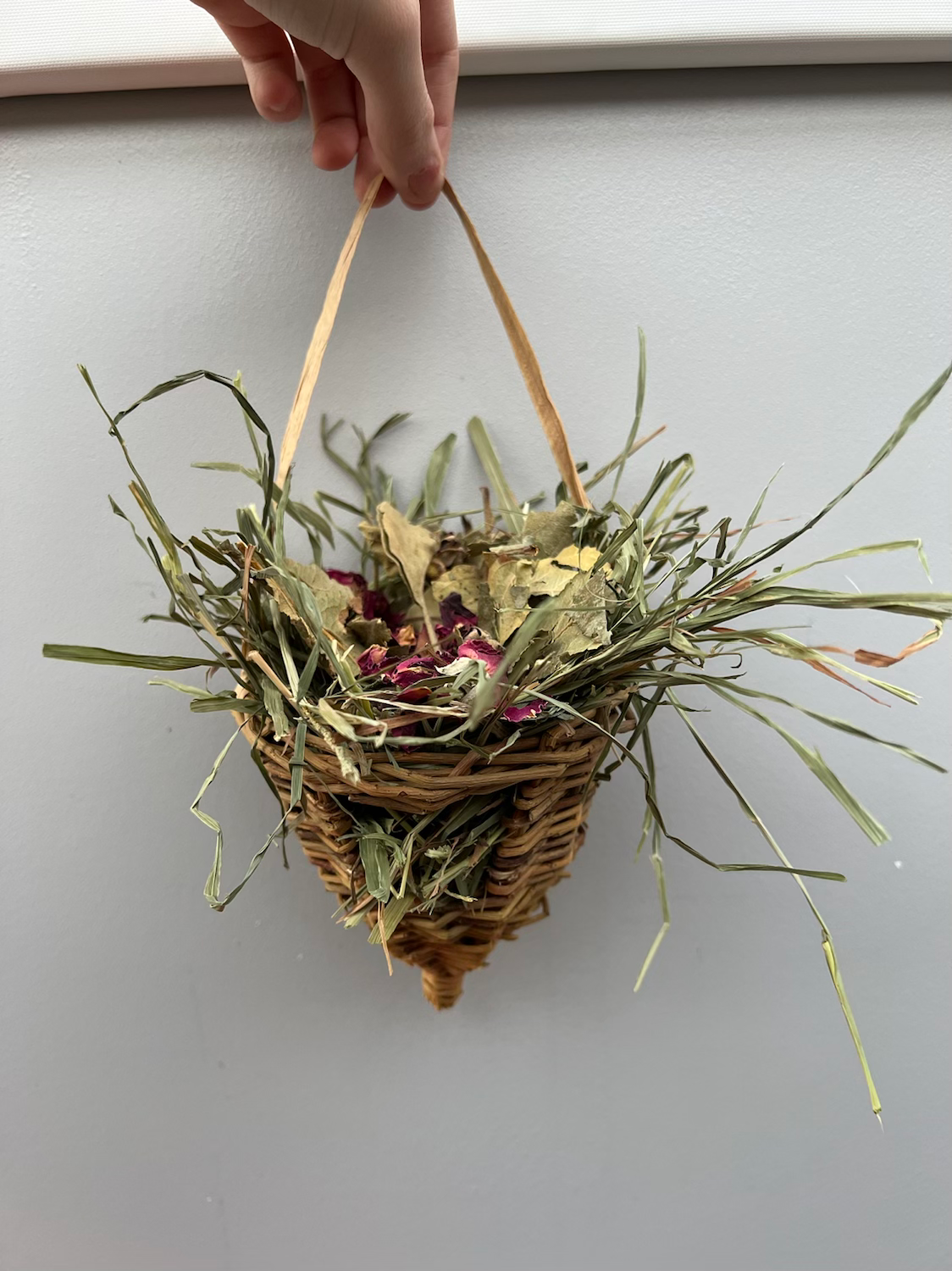 Bunnies Go Gardening