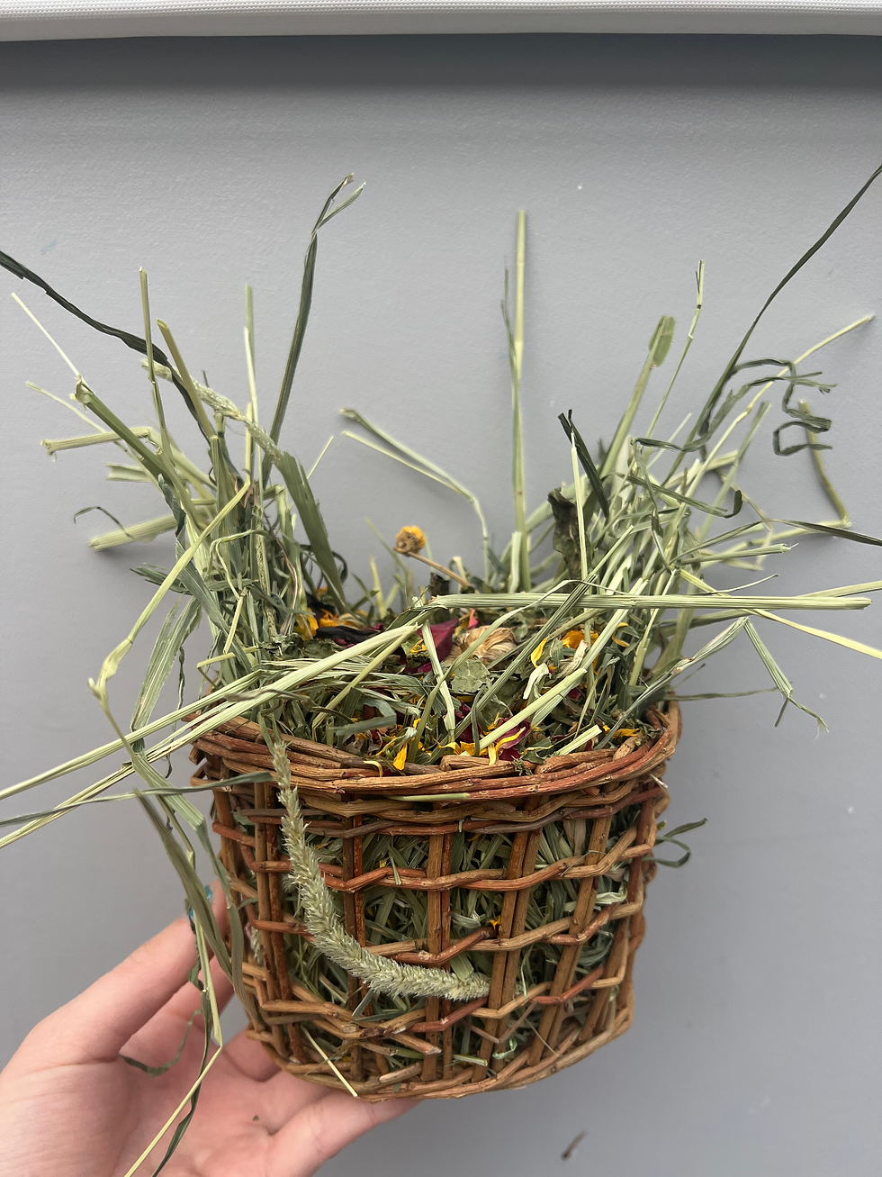 Willow basket 