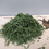 Thumbnail: Parsley stalks -100g 