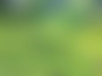 (Re) skilling for the future – The changing landscape in India
