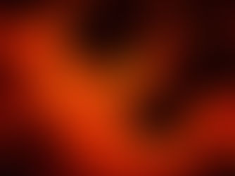 The Women Beaters⎯for every woman in the world