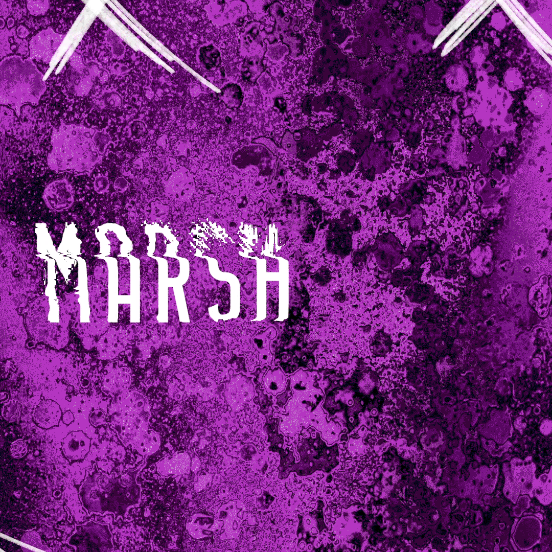 Social-gif_Marshmello_square_GDE_03.10.1