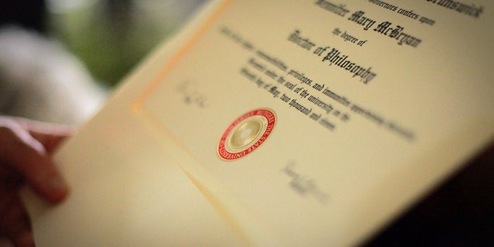Do you need a degree to be successful?