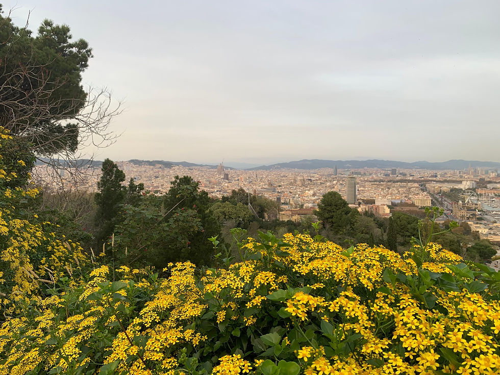 A stunning view of Barcelona during spring, captured from Montjuïc, an ideal spot for workcation explorers.