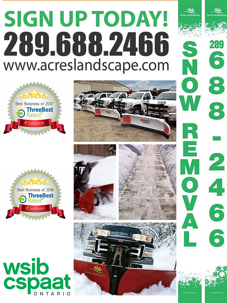 Untitled design (1).png