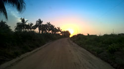 WP_20150806_18_04_58_Pro