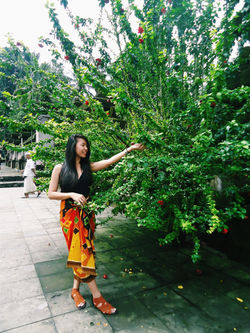 2015-05-03 09.25.56 1