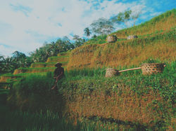 2015-05-03 10.26.49 1