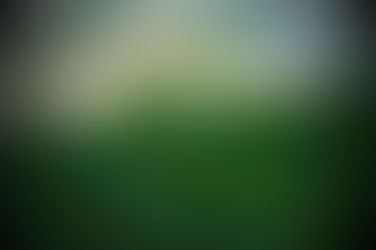 Impulsive Kid | Liwliwa, Zambales