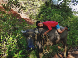 2016-05-28_04.02.01_1[1]