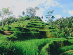 2015-05-03 10.26.01 1