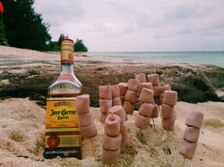 2014-12-30 09.27.51 1