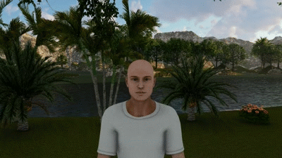 gif 66.gif