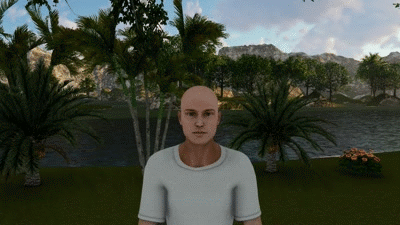 gif 72.gif