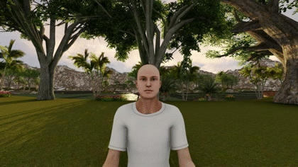 gif 42.gif