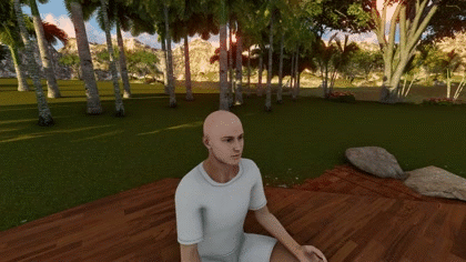 gif 45.gif