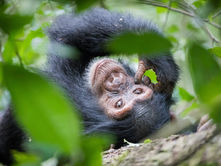 Uganda | Top Recommendations