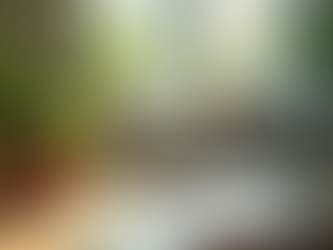 Root Cause Healing For PTSD: A Holistic Path to Lasting Recovery