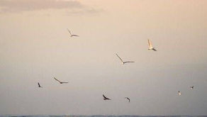 Misconception of "being in the NOW"