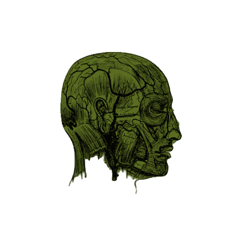 ezgif.com-animated-gif-maker(5).gif