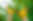 mains-enfants-couleurs-photo-ete-mise-au-point-selective_73944-504.webp