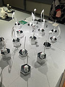 IMG_0571.jpg