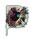 panoramics_temp_logo-05.jpg