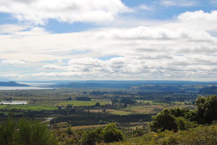 Taupo